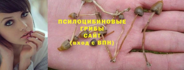 apvp Киренск