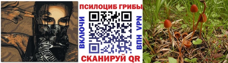 Галлюциногенные грибы мухоморы  наркошоп  Черняховск 